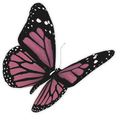 B U T T E R F L Y ' {png} By Xharuhiisuzumiya - Monarch Butterfly 3d (400x557)