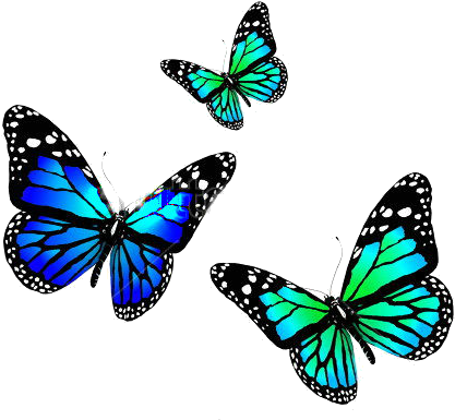Three Butterflies - Butterfly In Blue Colour (450x414)