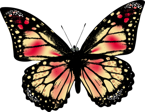 Kelebek Png Resimleri Butterfly Png - Borboleta Realística Bonita Camiseta (500x385)