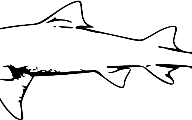 Great White Shark Clipart Traceable - Outline Of A Shark (640x480)