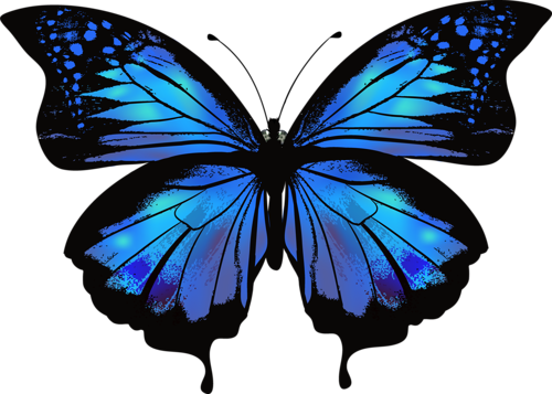 [ Img] - Mavi Kelebek Png (500x357)