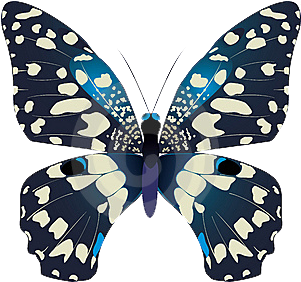 Butterfly Png - Swallowtails (382x405)