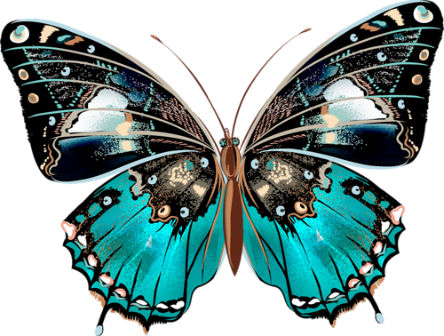 Png Kelebek Görselleri Butterfly Png - Fashion Women Messenger Bags Butterfly Printed Crossbody (500x378)