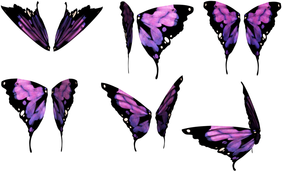 Daz Butterfly Wings By Mysticmorning - Papilio Machaon (1024x698)