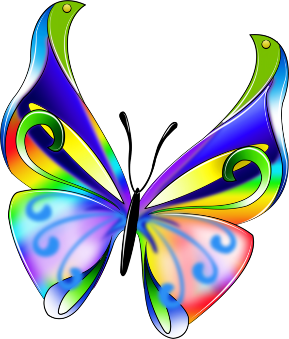 Похожее Изображение - Бабочка На Прозрачном Фоне (596x699)