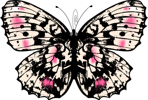 Kelebek Png Görselleri Butterfly Png - Schöner Entwurf Mit Schmetterlingen Und Blumen Kissen (500x337)