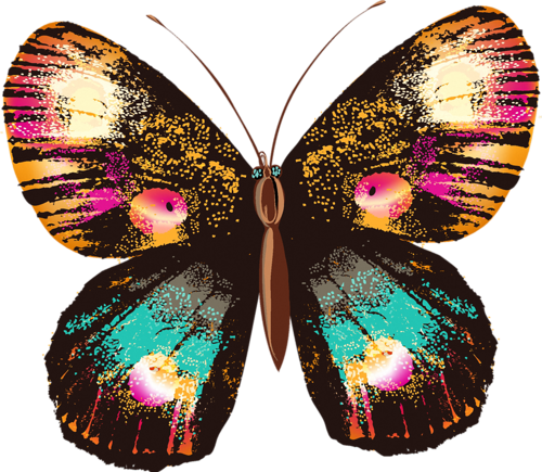 Png Kelebek Görselleri Butterfly Png - Kelebek Pngleri (500x435)