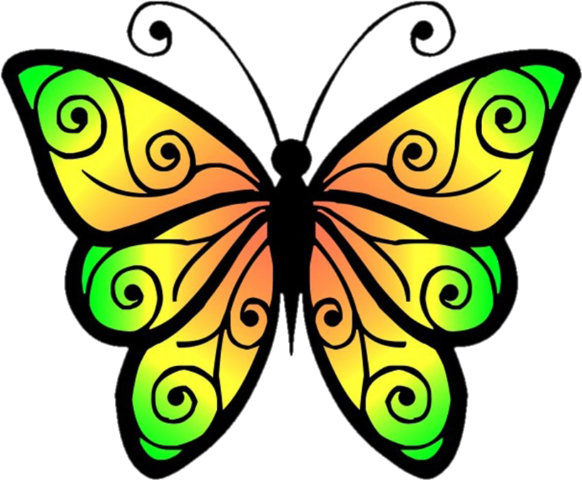 Image No Background - Colorful Butterfly Clipart (827x689)