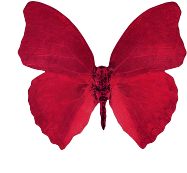 Butterfly Desktop Wallpaper Aesthetics Clip Art - Red Aesthetic Transparent Background (500x501)