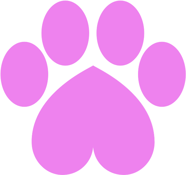 Adult 10 Months - Pata Patrulha Canina Para Imprimir (640x640)