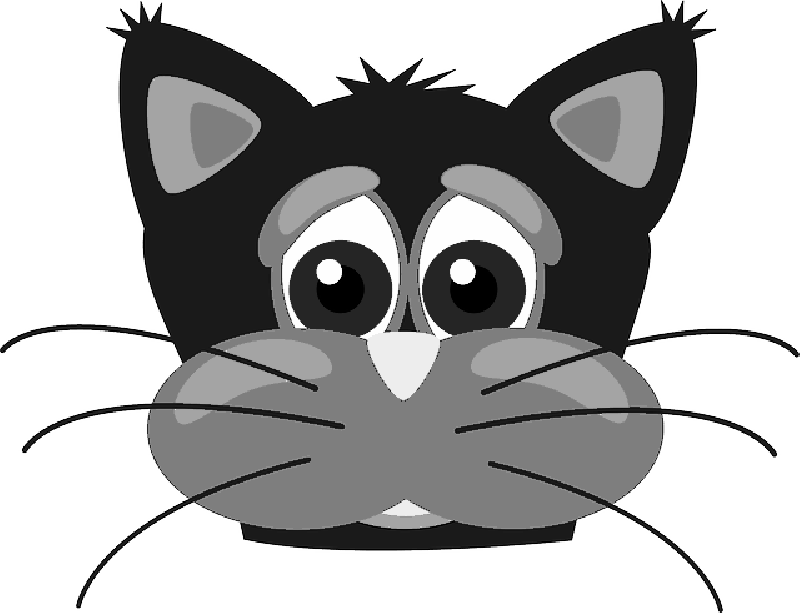 Animals, Cat, Head, Face, Cartoon, Mammals, Cats - Custom Cartoon Cat Face Shower Curtain (800x613)