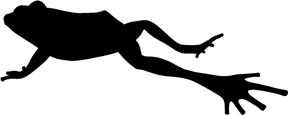 Silhouette Of Jumping Frog - Frog Silhouette (1299x643)