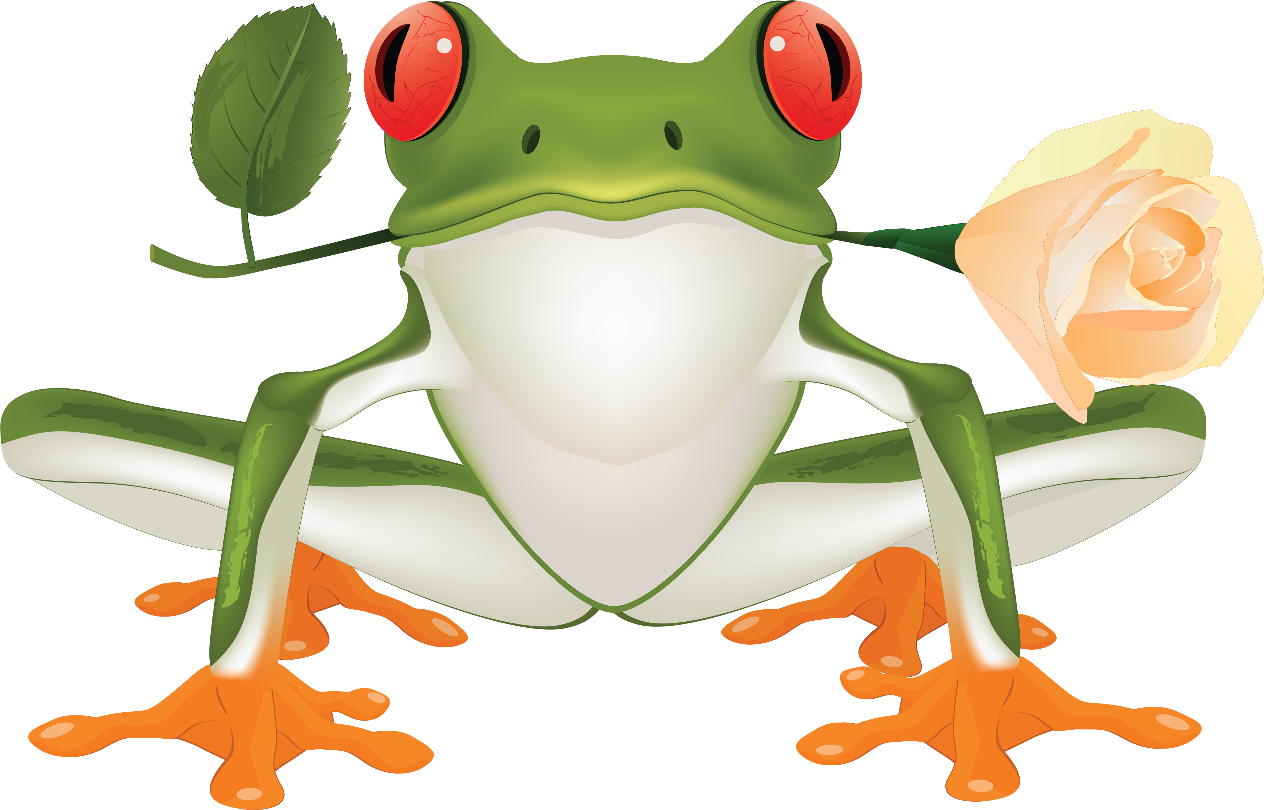 Free Toad Clipart - Tree Frog Clip Art (4995x3220)