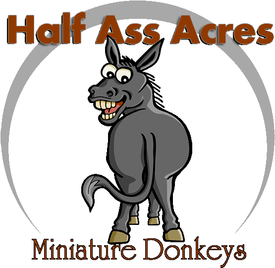 Mule Clipart Miniature Donkey - Hard Core Logo (650x583)