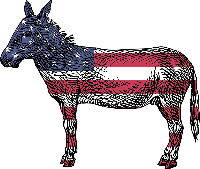 Free Mule Cliparts 18, Buy Clip Art - Reasons To Vote For Democrats A Comprehensive Guide (850x720)