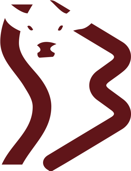 American Bonsmara Cattle - Bonsmara (484x600)