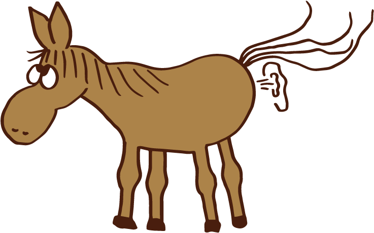 Ein Lustiges Motiv Von Einem Pfurzenden Pferd - Burro (794x794)