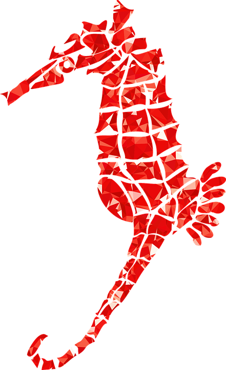 Seahorse Cliparts 13, Buy Clip Art - Vector Graphics (441x720)