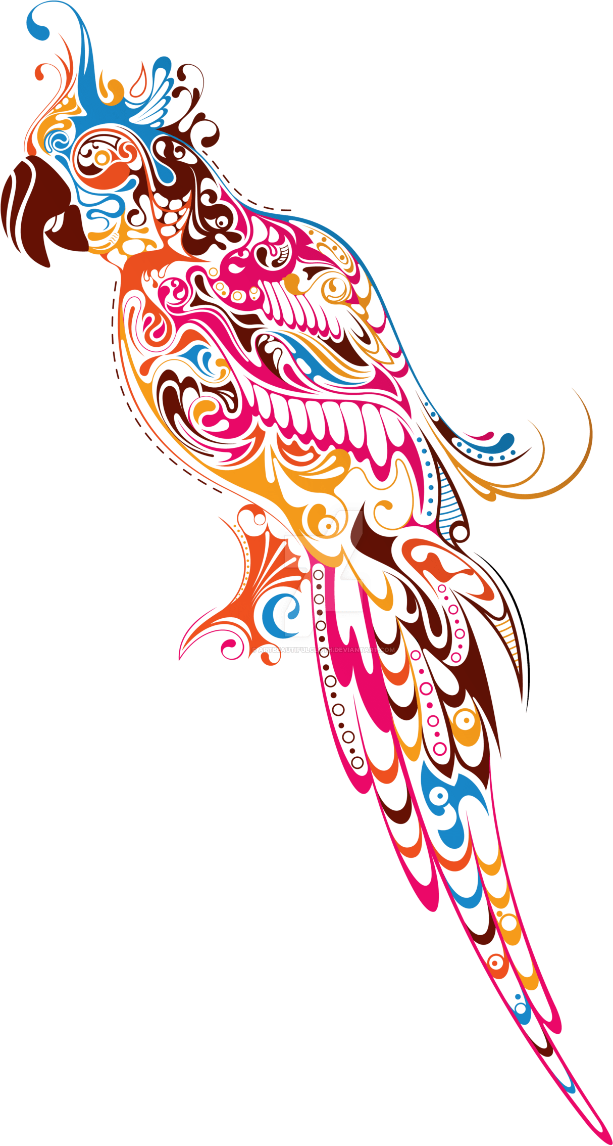 Colored Parrot Png (1280x2268)