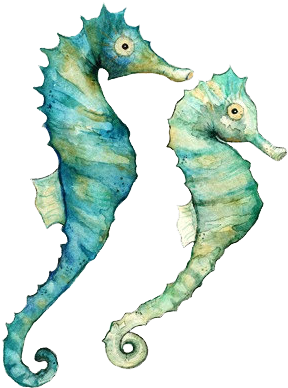 Seahorses - Watercolor Ocean Animals (480x607)