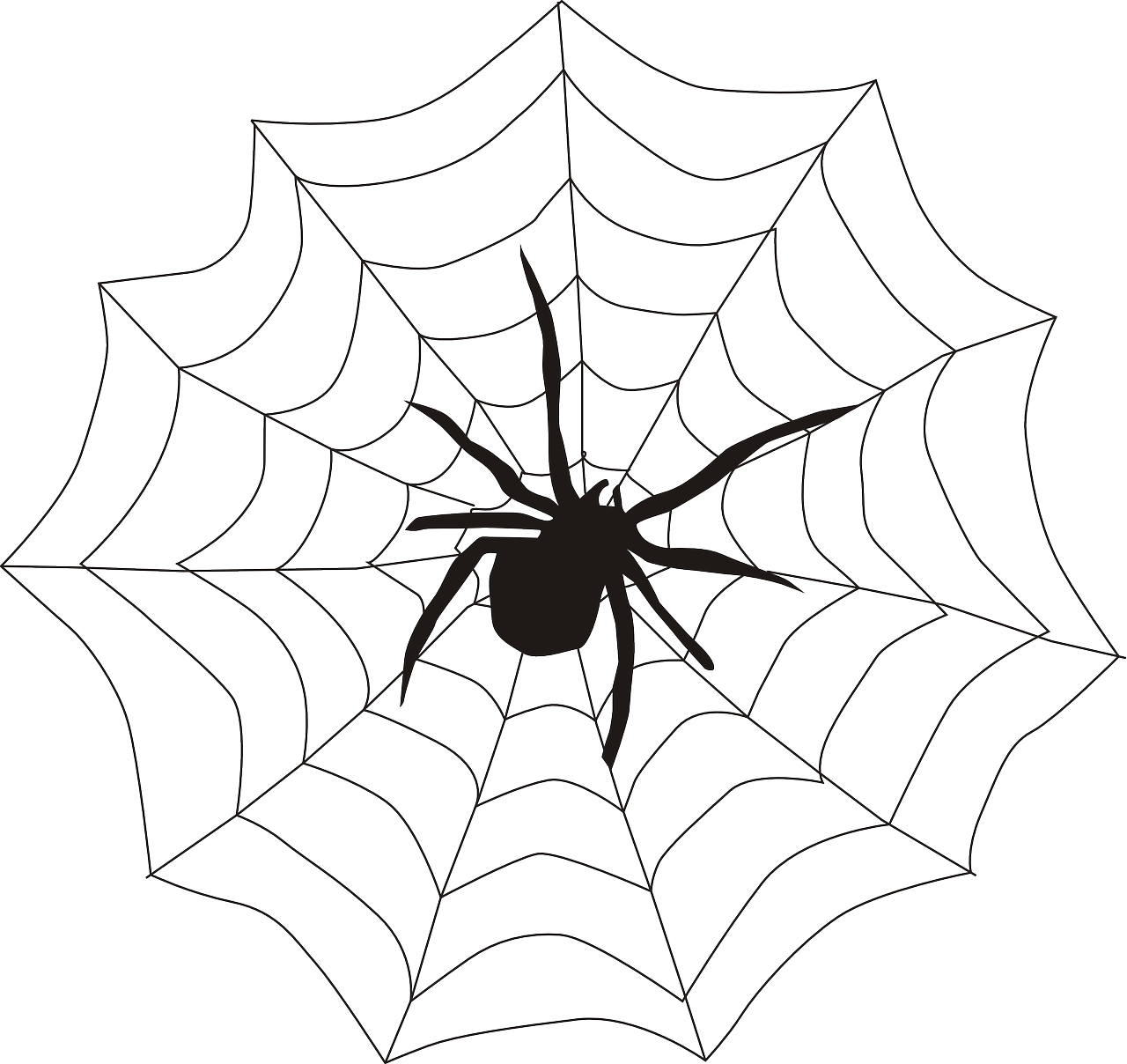 “a View ” - Spider On A Spider Web (1280x1208)