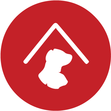 Puppy Sitting - Congregacion Sagrados Corazones (415x391)