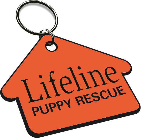 Lifeline Puppy Rescue (600x589)