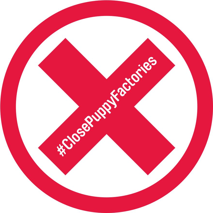 Fight Puppy Factories - World Map (1000x1000)