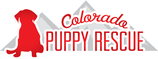 Colorado Puppy Rescue - Colorado Puppy Rescue (644x244)