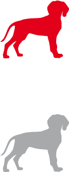 Growing Puppy - Veterinary Physician (283x445)