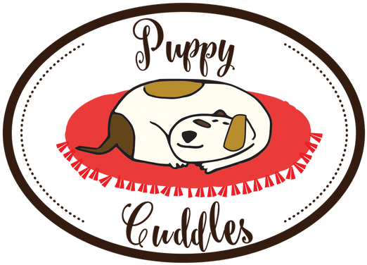 Purelation 100% All Natural Boar Bristle Body Bath (523x418)