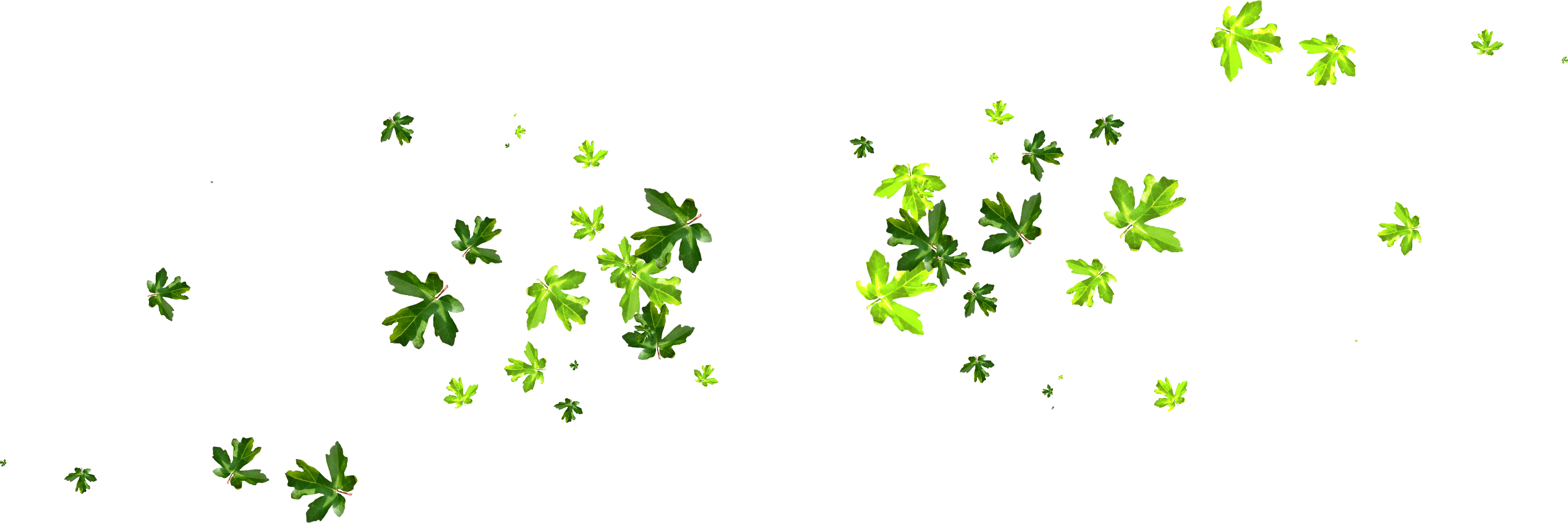 Leaf Plant Stem Branch Clip Art - Placer Deposit (2820x941)