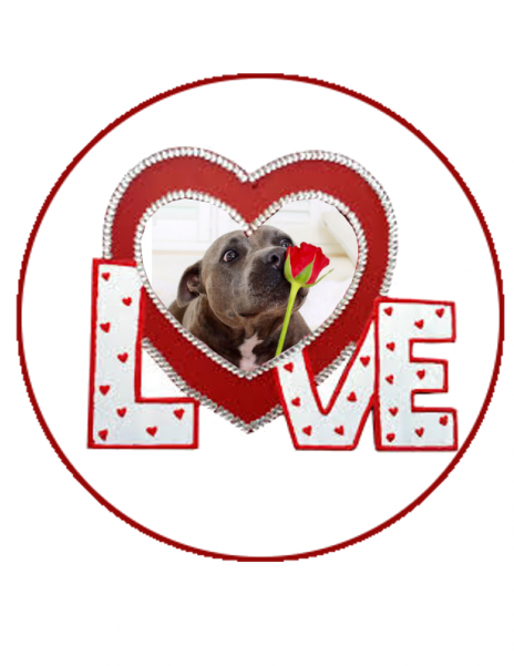 Puppy Love Cake Topper - You Fucking Kidding Me (600x600)