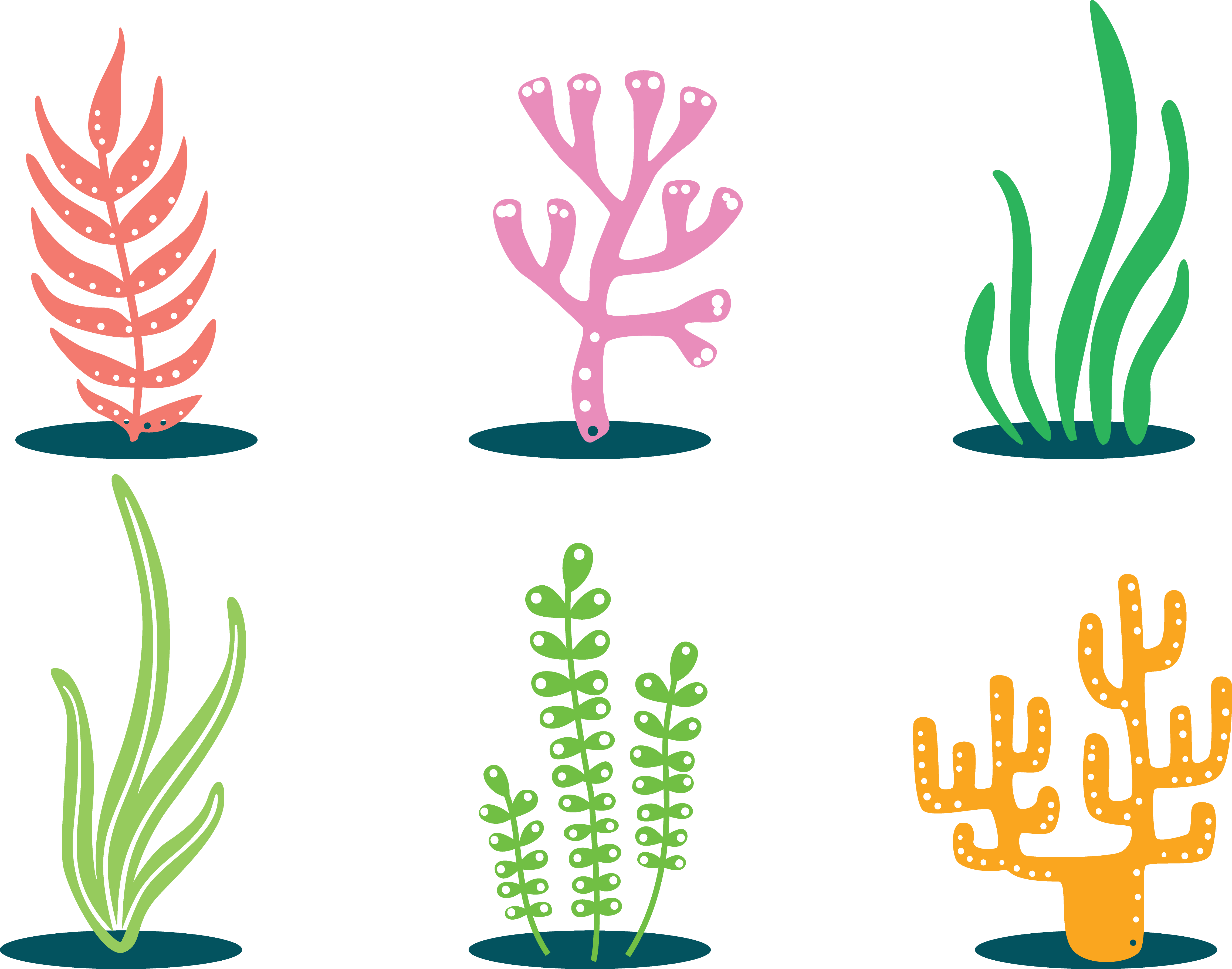 Coral Clip Art - Coral.