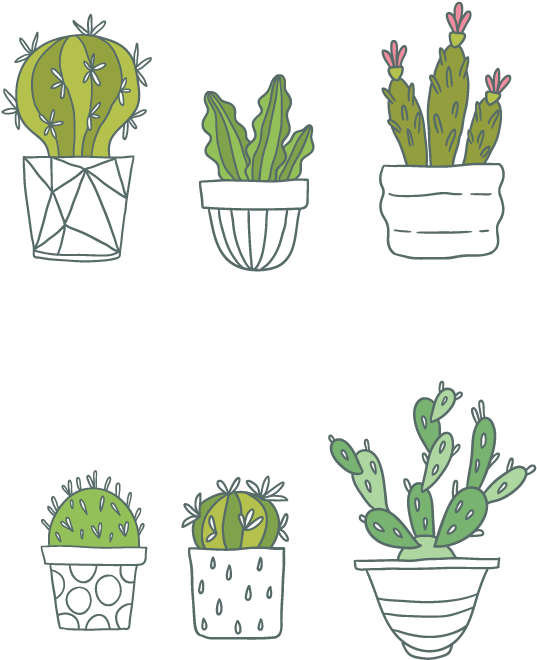 Cactaceae Succulent Plant Clip Art - Wall Stickers Cactus Plant Photo Frame Vinyl Wall Stickers (800x842)