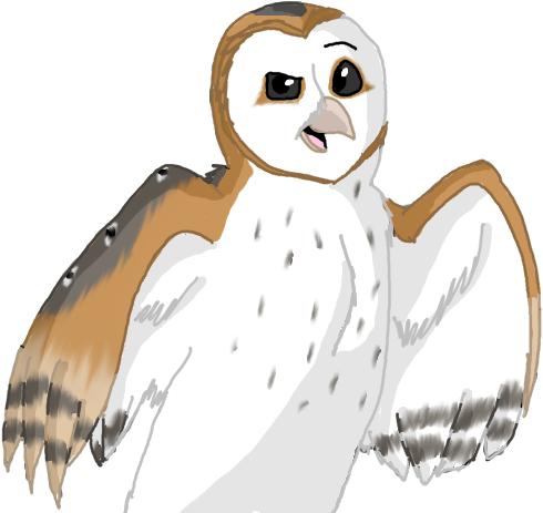 Tobias The Barn Owl By Force O Nature On Deviantart - Barn Owl Cartoon Png (500x501)