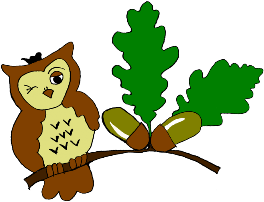 Barn Owls Nursery At Shifnal Primary School - Shifnal Primary School (900x671)