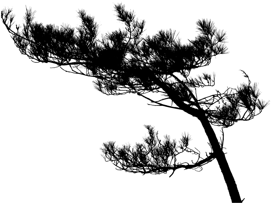 Apple Tree Silhouette 19, Buy Clip Art - ต้นไม้ สี ดำ Png (960x680)