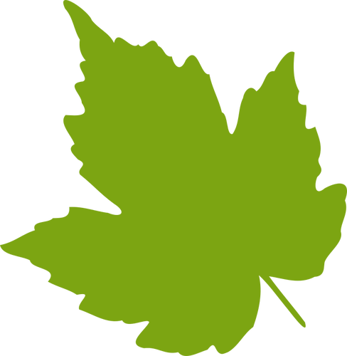 Green Maple Leaf Vector Image Public Domain Vectors - Grape Leaf Clip Art (488x500)