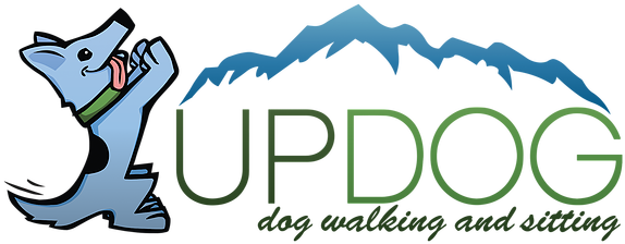 Professional Dog Walking Company In Denver, Co - Updog Dog Walking (589x226)
