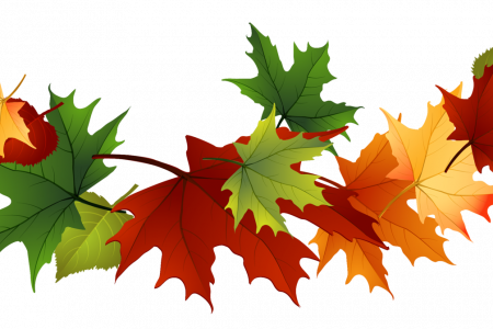 Leaves Clipart Transparent Background - Autumn Leaves Transparent Background (450x300)