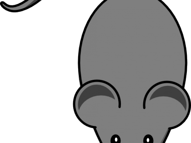 Pc Mouse Clipart Grey - Lab Mouse Clipart (640x480)
