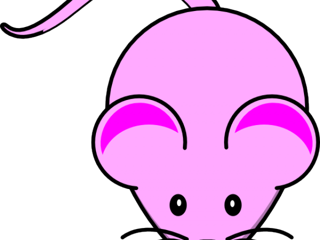 Computer Mouse Clipart Pink - Mouse Clip Art (640x480)