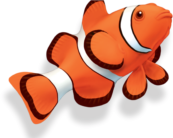 Clownfish Clipart Transparent - Clownfish Png (640x480)
