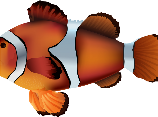 Clownfish Clipart Onyx - Clip Art (640x480)