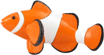 Clownfish - Garibaldi (fish) (592x450)