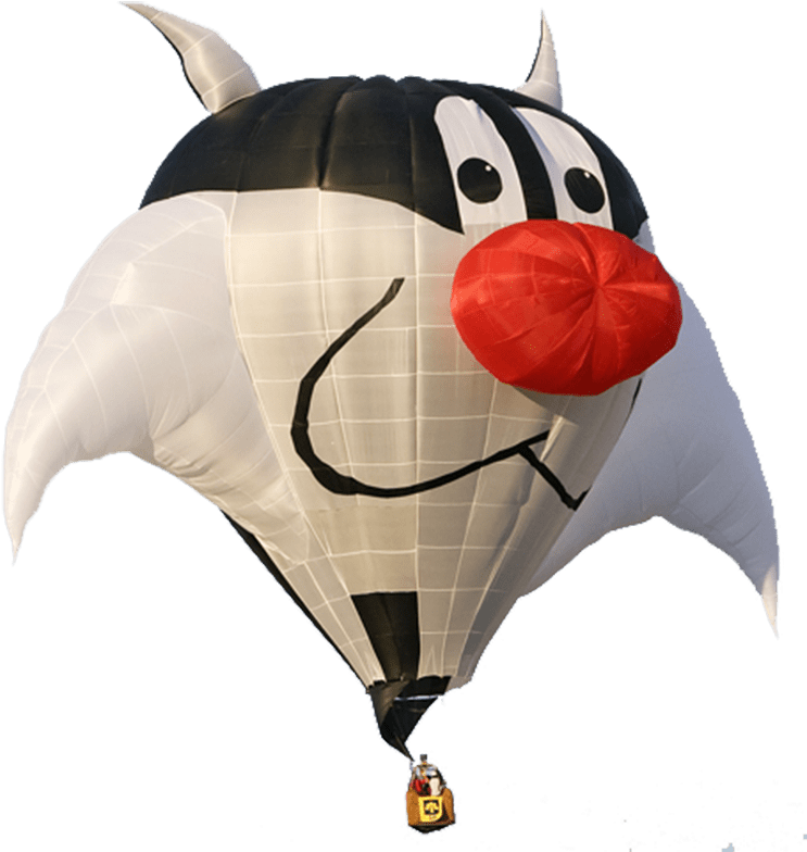Cat Hot Air Balloon Png - Special Shape Hot Air Balloons 2016 (753x800)