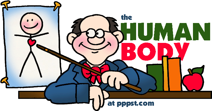 Free Powerpoint Presentations About The Human Body - Human Body System Cartoon (709x364)
