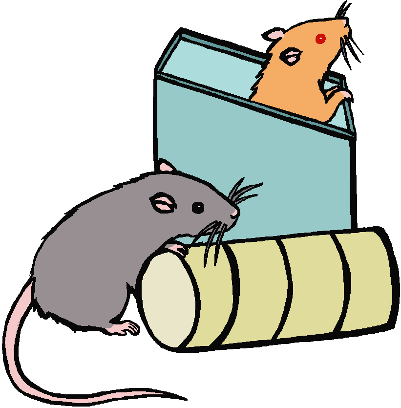 Mouse Rat Clipart Image - Rats In A Cage Clipart (821x835)