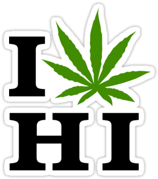 Hawaii Voters Overwhelmingly Support Legalizing And - Love Cannabis Wisconsin Shower Curtain (375x360)